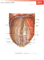 Sobotta  Atlas of Human Anatomy  Trunk, Viscera,Lower Limb Volume2 2006, page 66